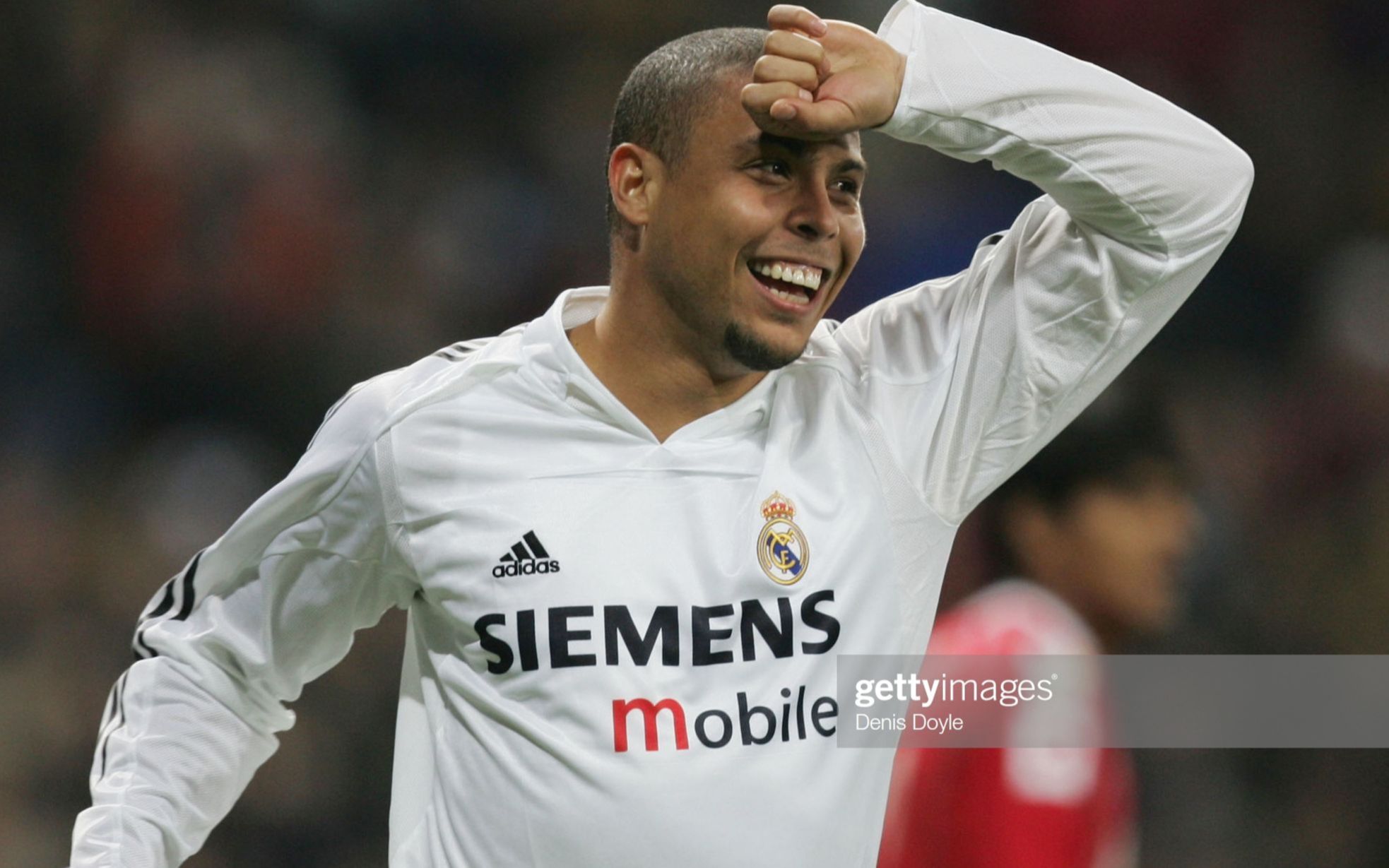 也放大了保 也放大了保